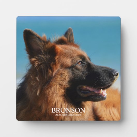 Benutzerdefiniertes Foto zur Memorierung von Haust Fotoplatte (Vorderseite)