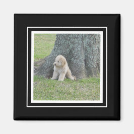 Benutzerdefiniertes Fotomodell True Black & White Magnet