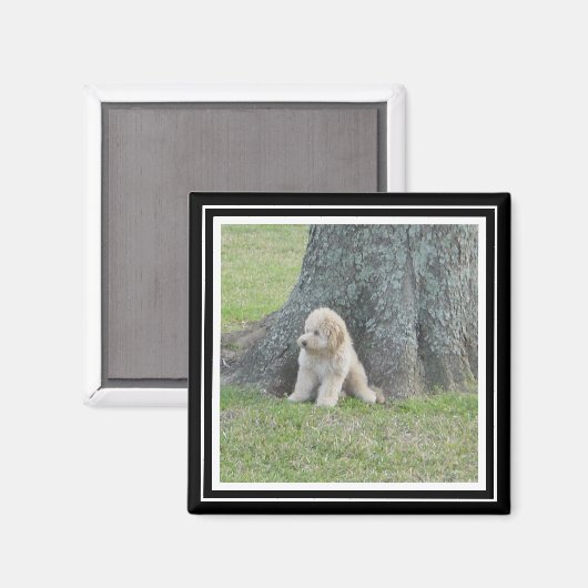 Benutzerdefiniertes Fotomodell True Black & White Magnet (Vorderseite/Rückseite)