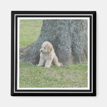 Benutzerdefiniertes Fotomodell True Black & White