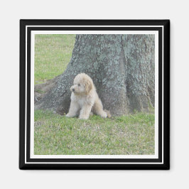 Benutzerdefiniertes Fotomodell True Black & White Magnet