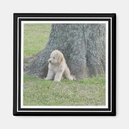 Benutzerdefiniertes Fotomodell True Black & White Magnet (Vorne)