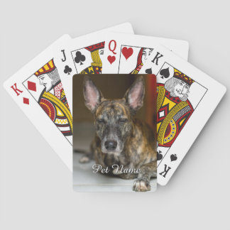 Benutzerdefiniertes Haustier Katze Hund Foto Spielkarten