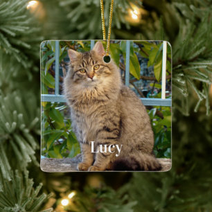 Benutzerdefiniertes Haustierfoto Katzenliebhaber u Keramikornament