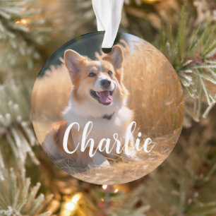 Benutzerdefiniertes Haustierfoto mit Namen Ornament