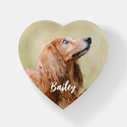 Benutzerdefiniertes Haustierfoto personalisiert Briefbeschwerer