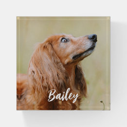 Benutzerdefiniertes Haustierfoto personalisiert Briefbeschwerer