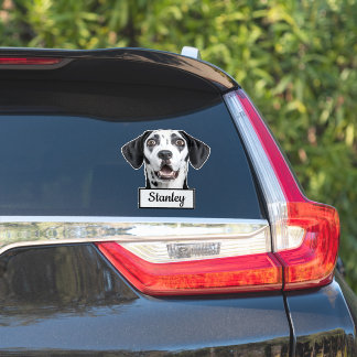 Benutzerdefiniertes Haustierfoto | Personalisierte Aufkleber