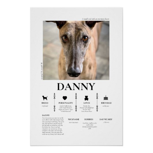 Benutzerdefiniertes Haustierfoto Poster (Vorderseite)