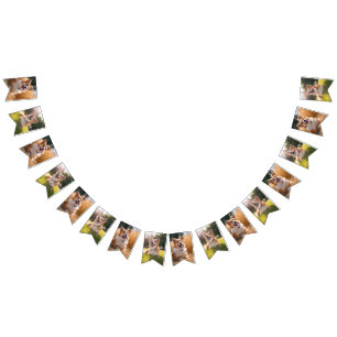 Benutzerdefiniertes Haustierfoto Wimpelkette