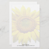 Benutzerdefiniertes Hintergrundpapier für Sonnenbl Briefpapier (Vorne/Hinten)