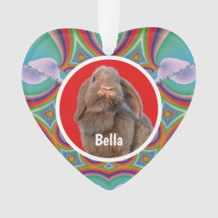 Benutzerdefiniertes Holland Lop Kaninchen Foto Nam Ornament
