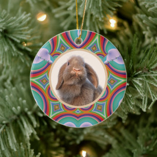 Benutzerdefiniertes Holland Lop Kaninchen Foto Reg Keramik Ornament