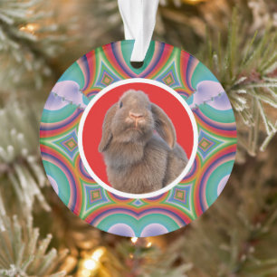 Benutzerdefiniertes Holland Lop Kaninchen Foto Reg Ornament