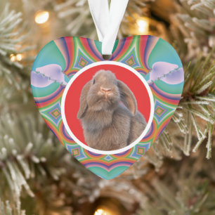 Benutzerdefiniertes Holland Lop Kaninchen Foto Reg Ornament