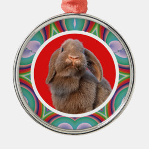 Benutzerdefiniertes Holland Lop Kaninchen Foto Reg Ornament Aus Metall
