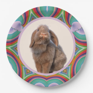 Benutzerdefiniertes Holland Lop Kaninchen Foto Reg Pappteller