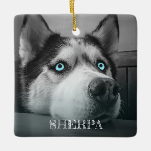 Benutzerdefiniertes Hund 2 Fotos Personalisiert Keramikornament (Vorderseite)