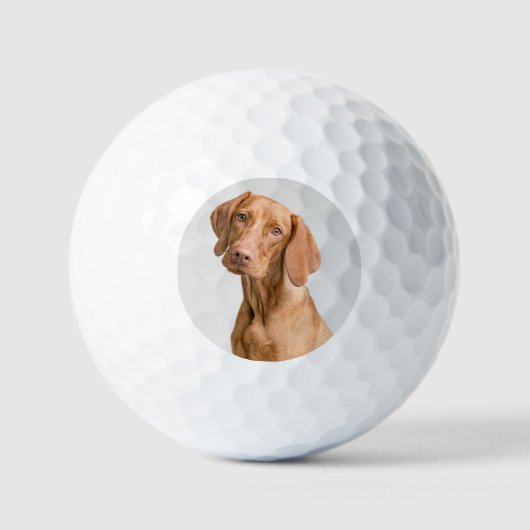 Benutzerdefiniertes Hunde-Foto-Golf Golfball (Vorderseite)