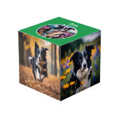 Benutzerdefiniertes Hundeschleifen Geschenk grüner Würfel (Vorderseite Schrägansicht)