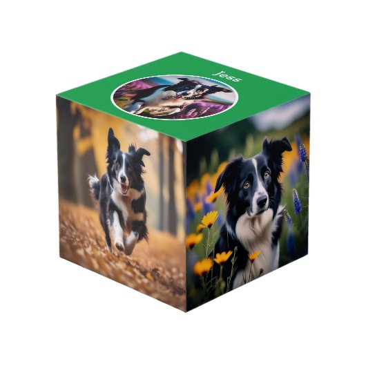 Benutzerdefiniertes Hundeschleifen Geschenk grüner Würfel (Vorderseite Schrägansicht)