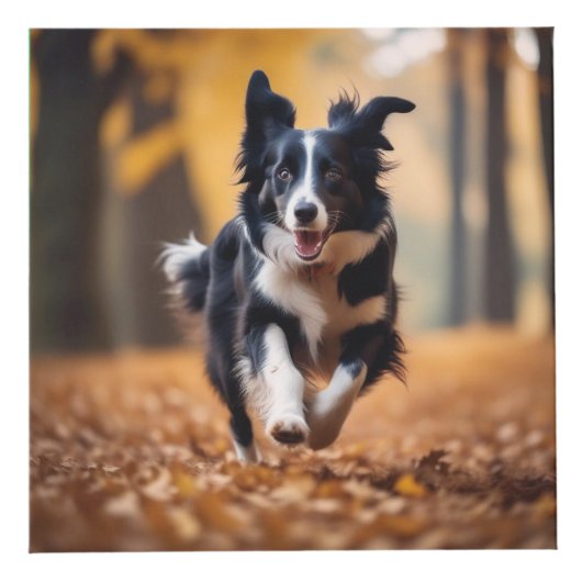 Benutzerdefiniertes Hundeschleifen Geschenk grüner Würfel (Vorderseite)