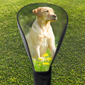 Benutzerdefiniertes Hundkatzen-Foto Einfach Person Golf Headcover