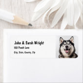 Benutzerdefiniertes Husky-Malemute-Hundeschrift (Insitu)