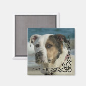 Benutzerdefiniertes Instagramm-Foto Erstellen Sie  Magnet (Vorderseite/Rückseite)