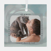 Benutzerdefiniertes Katze-Mama-Leben Haustier-Foto Ornament Aus Glas (Rückseite)