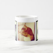 Benutzerdefiniertes Keepake Pet-Foto-Geschenk Kaffeetasse (Mittel)