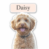 Benutzerdefiniertes Leopard Print Hund-Foto mit Na Aufkleber (Vorderseite)