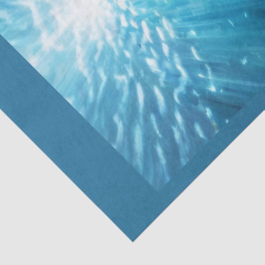 Benutzerdefiniertes Loggerhead Seidenpapier (Ausschnitt)