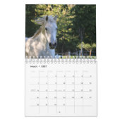 Benutzerdefiniertes Magisches Pferd 20XX Kalender (Mär 2027)