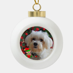 Benutzerdefiniertes Malteser-Hund-Foto mit süßem E Keramik Kugel-Ornament