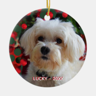 Benutzerdefiniertes Malteser-Hundefoto Keramik Ornament