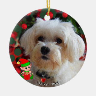 Benutzerdefiniertes Malteser-Hundefoto mit süßem E Keramik Ornament