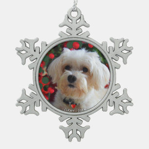 Benutzerdefiniertes Malteser-Hundefoto Schneeflocken Zinn-Ornament