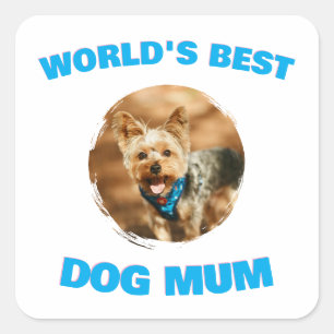 Benutzerdefiniertes Minimales Bestes Hund Katze Ma Quadratischer Aufkleber