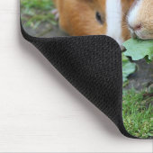 Benutzerdefiniertes modernes Pet-Bild Mousepad (Ecke)