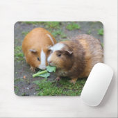 Benutzerdefiniertes modernes Pet-Bild Mousepad (Mit Mouse)