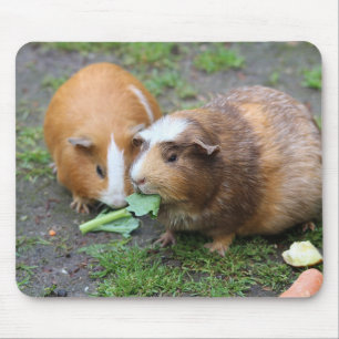 Benutzerdefiniertes modernes Pet-Bild Mousepad