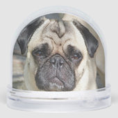 Benutzerdefiniertes Mops-Dog-Foto Schneekugeln (Rückseite)