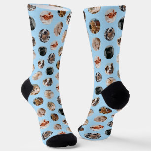 Benutzerdefiniertes Niedliches 8-Foto-Pet-Collage Socken