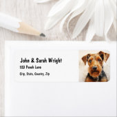 Benutzerdefiniertes Niedliches Airedale Terrier-Do (Insitu)