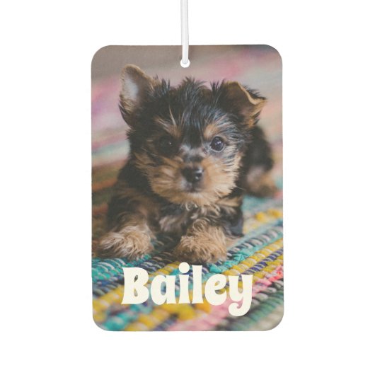 Benutzerdefiniertes Niedliches Pet-Foto Autolufterfrischer (Vorderseite)