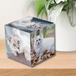Benutzerdefiniertes Personalisiertes Cat Keepake P Würfel
