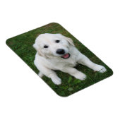 Benutzerdefiniertes Personalisiertes Foto I Beglei Magnet (Rechte Seite)