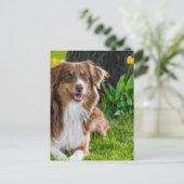 Benutzerdefiniertes Personalisiertes Foto Postkarte (Stehend Vorderseite)
