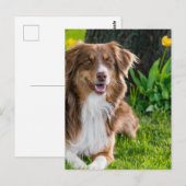 Benutzerdefiniertes Personalisiertes Foto Postkarte (Vorne/Hinten)